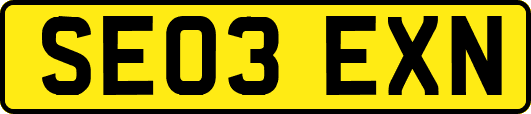 SE03EXN