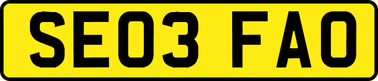 SE03FAO