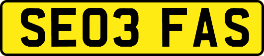 SE03FAS