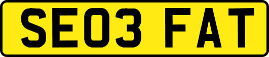 SE03FAT