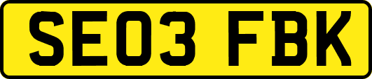SE03FBK
