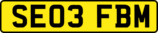 SE03FBM
