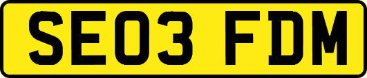 SE03FDM