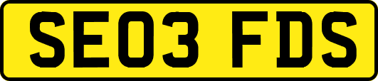 SE03FDS