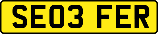 SE03FER