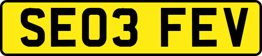 SE03FEV