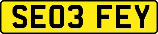 SE03FEY