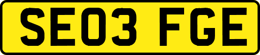 SE03FGE