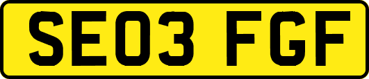 SE03FGF