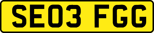 SE03FGG