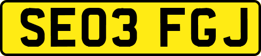 SE03FGJ