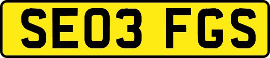 SE03FGS