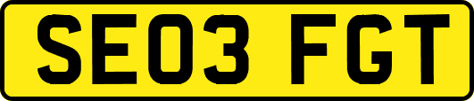 SE03FGT