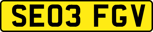 SE03FGV