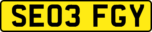 SE03FGY