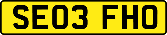 SE03FHO