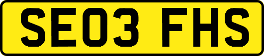 SE03FHS