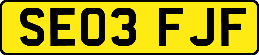 SE03FJF
