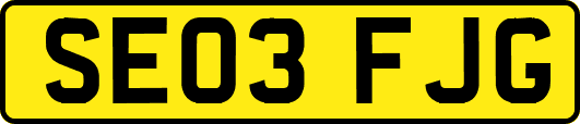 SE03FJG