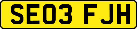 SE03FJH
