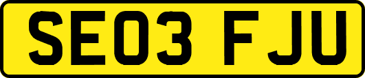 SE03FJU