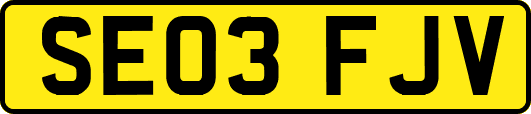 SE03FJV
