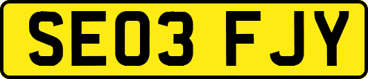 SE03FJY