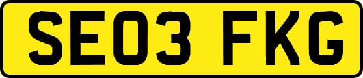 SE03FKG
