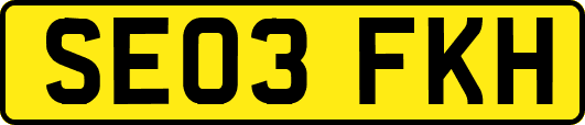 SE03FKH