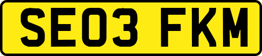 SE03FKM