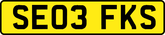SE03FKS