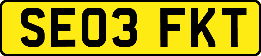 SE03FKT