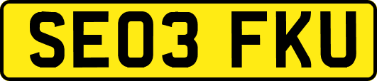 SE03FKU