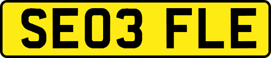 SE03FLE