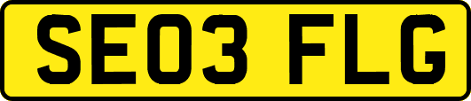 SE03FLG