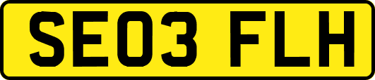SE03FLH