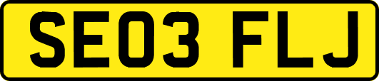 SE03FLJ