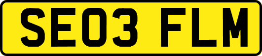 SE03FLM