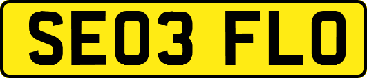 SE03FLO