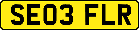 SE03FLR