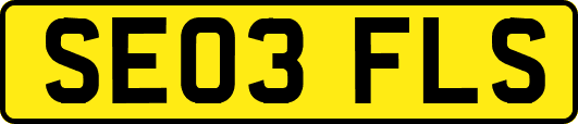 SE03FLS