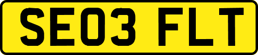 SE03FLT