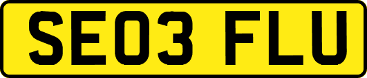 SE03FLU