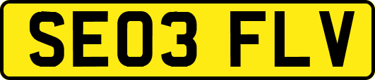 SE03FLV