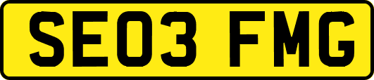 SE03FMG