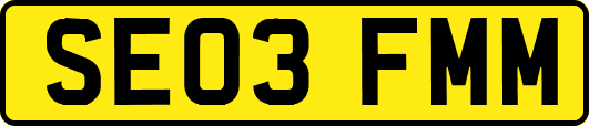 SE03FMM