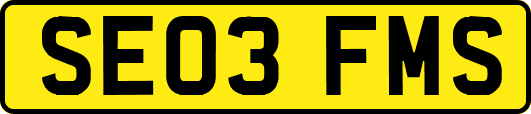 SE03FMS