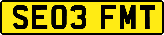 SE03FMT