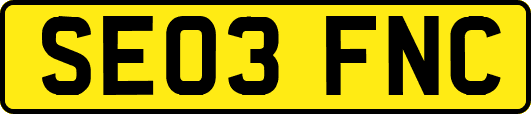 SE03FNC