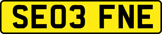 SE03FNE